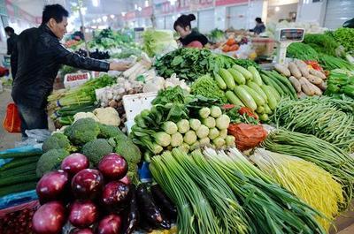 蔬菜价格小幅上涨 市场波动与新农村商网批发动态解析