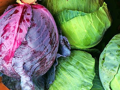 东莞长安镇蔬菜批发与工厂配送指南 新鲜蔬菜的源头直采