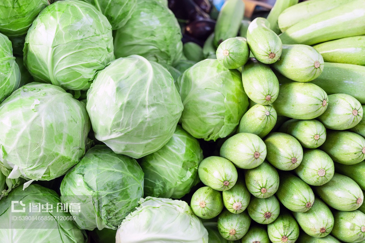 绿色与丰收的脉动 走进新鲜蔬菜批发市场