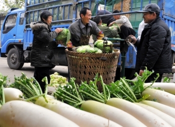 六千余吨新鲜蔬菜直达菜篮子，南充市民乐享舌尖上的春天