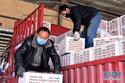 菜市繁荣花样新——探访中部最大农产品批发市场