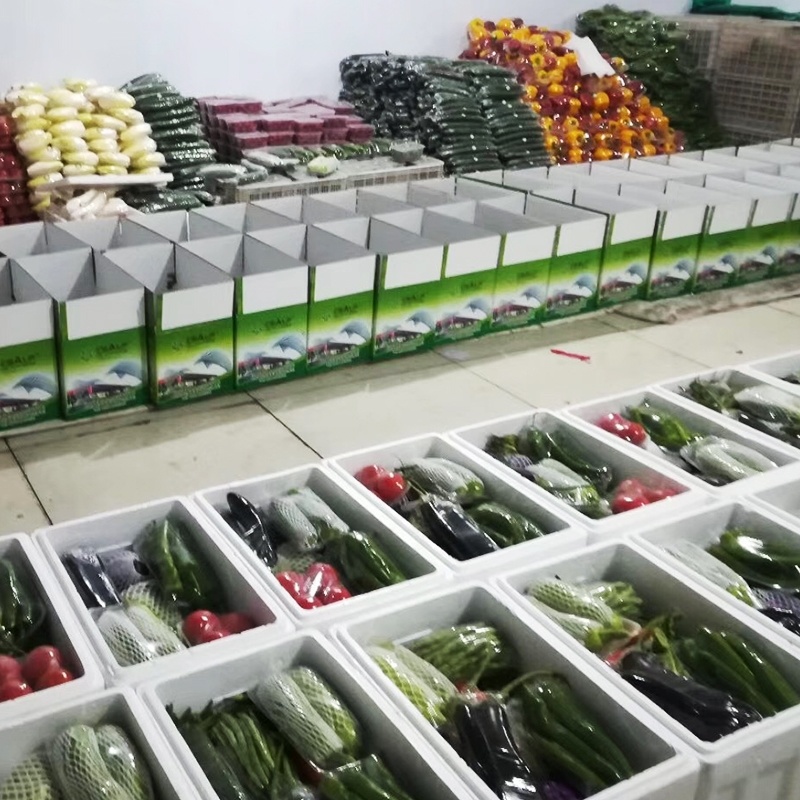 山东潍坊寿光蔬菜礼包批发 高品质精装110元/箱，覆盖全国供应